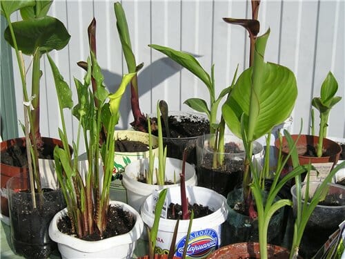 2krn at что такое